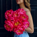 Букет «Коралловые пионы 9 штук»