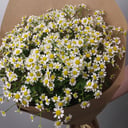 Монобукет из кустовых ромашек Камила из хризантем