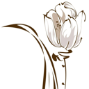 Цветы Грозный