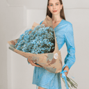 Букет «Гипсофила голубая 11 штук»