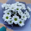 Букет комплимент из хризантем