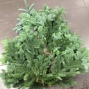 Нобилис Лапник Еловый 3 банча