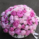 75 розовых пионов в корзине