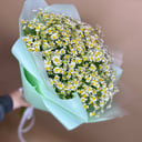 Букет ромашек из ромашек