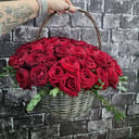 Корзина из 63 красных роз с фисташкой