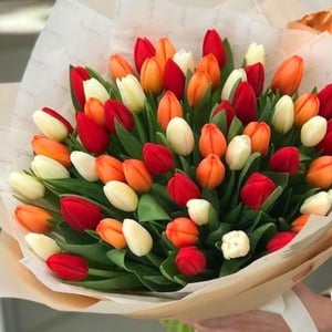 Букет 65 тюльпанов