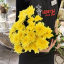 Букет из 5 желтых кустовых хризантем