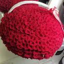 501 красная Роза в корзине