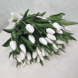 Букет «51 тюльпан»