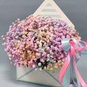 Коробка с цветами «Радужная гипсофила в конверте»