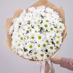 Букет из 15 белых хризантем 50 см