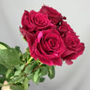 Букет «5 роз Ред Пантера»