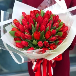 Букет красных тюльпанов 51 шт