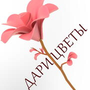 Дари Цветы