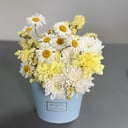 Ромашки в голубой коробке из гвоздик и хризантем