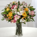 Букет из 25 альстромерий