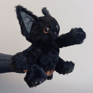 Черный котик