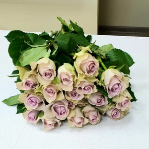 Букет «Нежное чудо» из роз