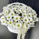 Шикарная корзина с хризантемой