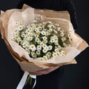 Букет «Ромашки»