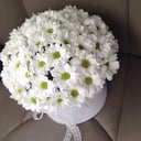 Шляпная коробка с цветами «Композиция "Ромашка"» из хризантем