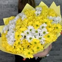 Букет «Лимонник» из хризантем