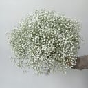 Букет цветов из 19 гипсофил