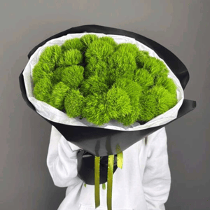 Монобукет в стильной упаковке из 35 зеленых гвоздик