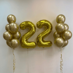 Набор шаров 267 с цифрами 22
