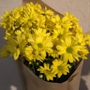 Букет Желтых Кустовых Хризантем