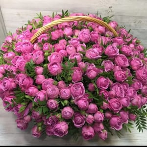 Корзина из 151 кустовой розы