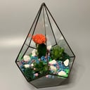 Композиция «Флорариум "Яркость"»