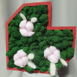 Стабилизированный мох с хлопком