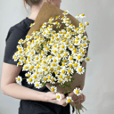 Букет «Комплимент из ромашек» из ромашек