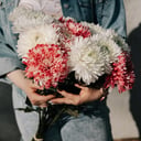 Букет из 9 одноголовых хризантем