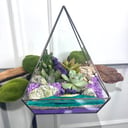 Флорариум с суккулентами, подарок