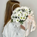 Коробка с цветами «Нежность - композиция из ромашек» из хризантем