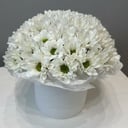 Шляпная коробка с цветами «Хризантемы в коробке 7 шт»