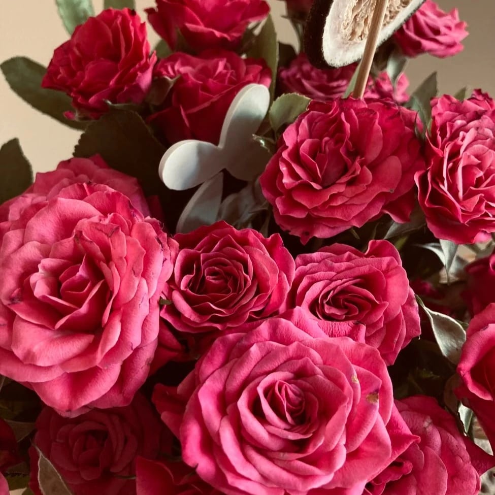 Flowers in Sharjah City