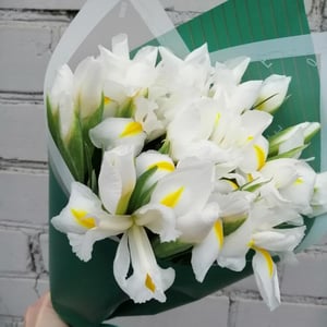 Монобукет из ирисов