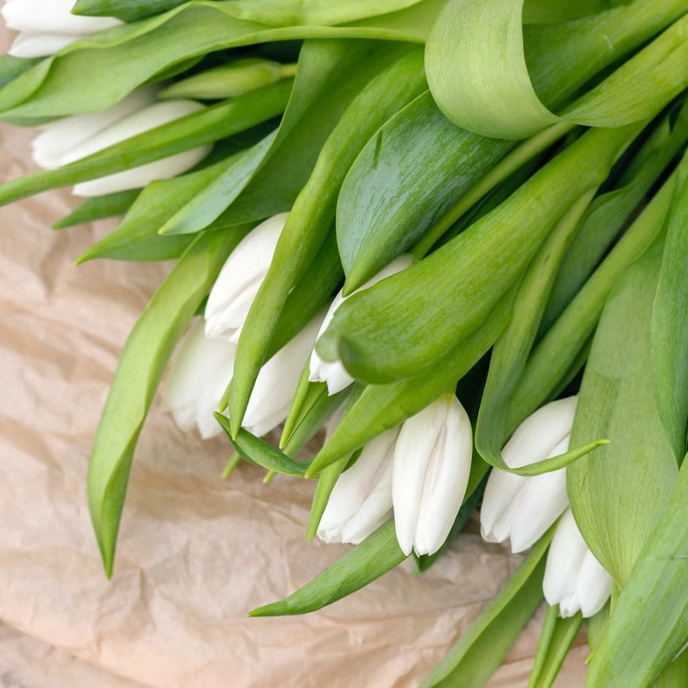 Tulips bouquet delivery