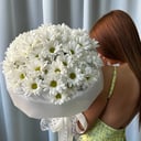 Большой букет из 9 ромашковых хризантем