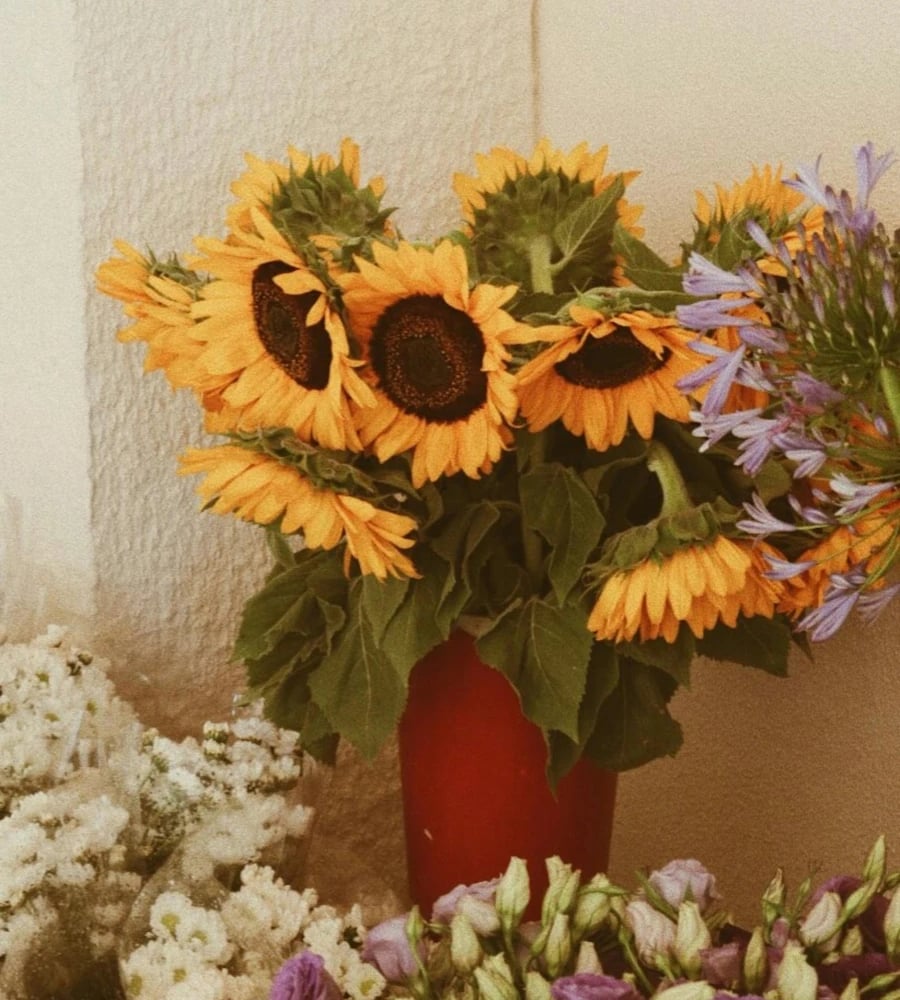 Sunflower bouquet delivery