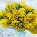 Букет «Солнечный свет» из мимоза