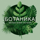 Ботаника