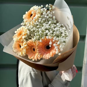 Букет гербера мини и гипсофила