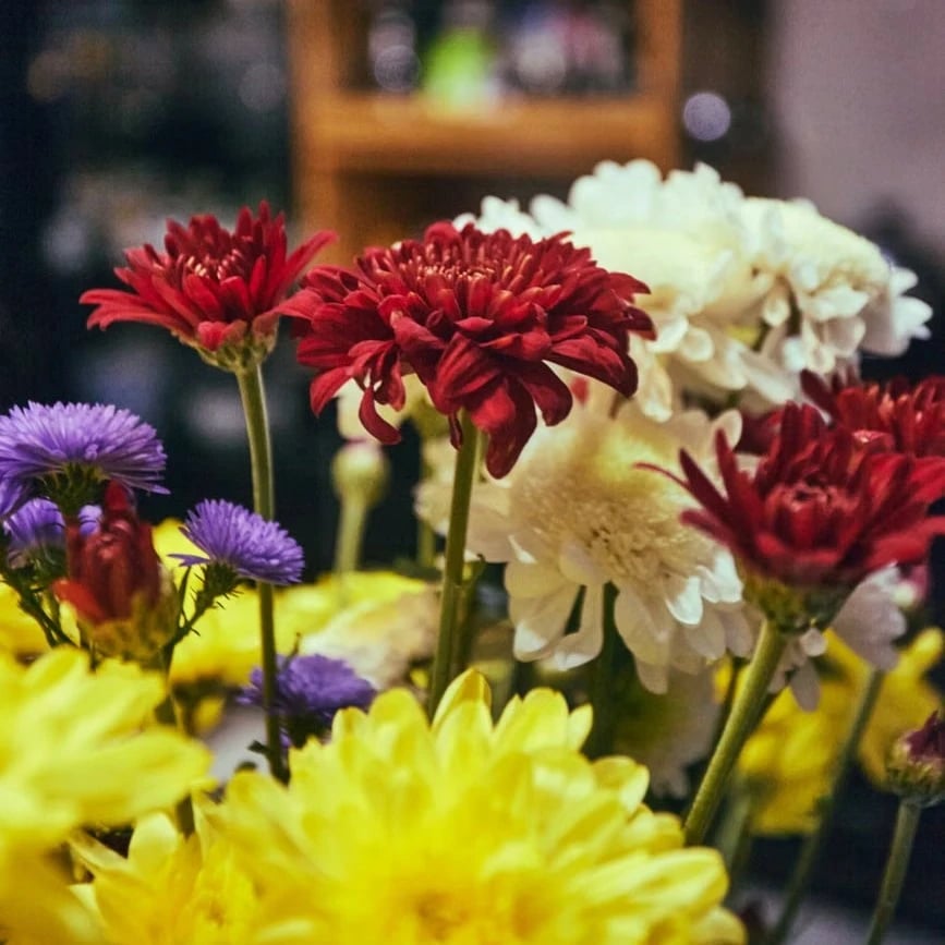 Flowers in Dubai Ai Barsha