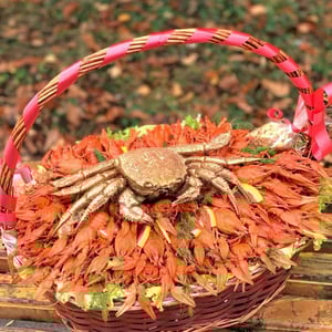 Огромная мужская корзина