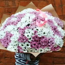 Букет «101 хризантема»