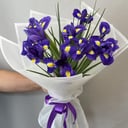 Моно букет из 9 ирисов